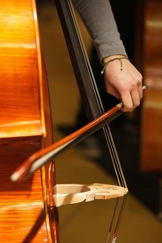 musical instrument person playing cello cello